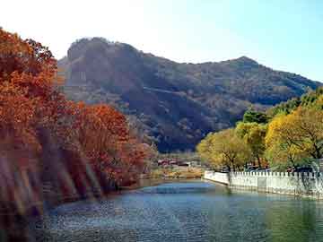 新澳天天开奖资料大全旅游团，天涯网站